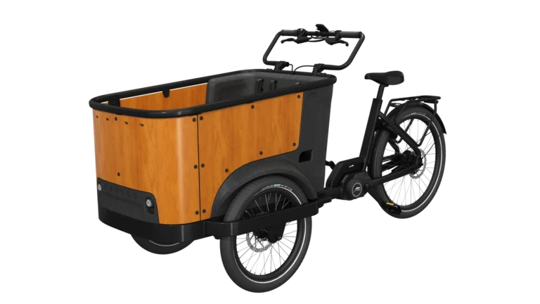 Cangoo Buckle Up El-Ladcykel Sort/Neutral