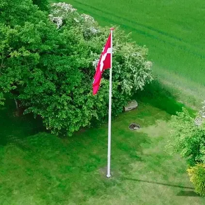 Flagstang med grønt græs